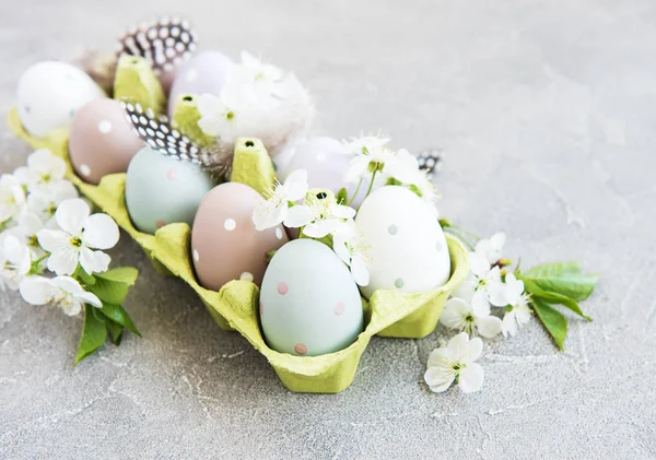 Egg i brett – stockfoto