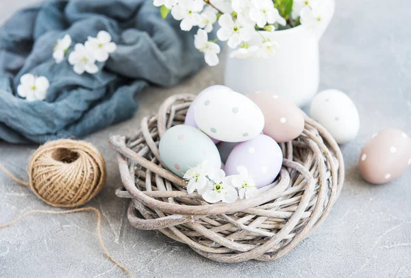 Ostereier und Frühlingskirschblüte — Stockfoto