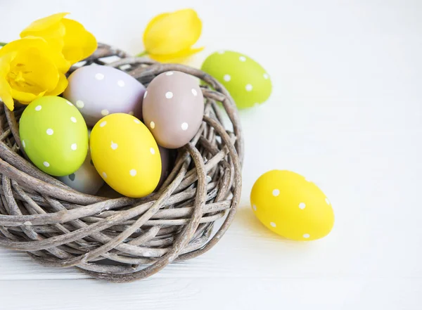 Nest with easter eggs — Stock Photo, Image