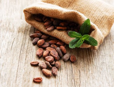 ham kakao çekirdekleri