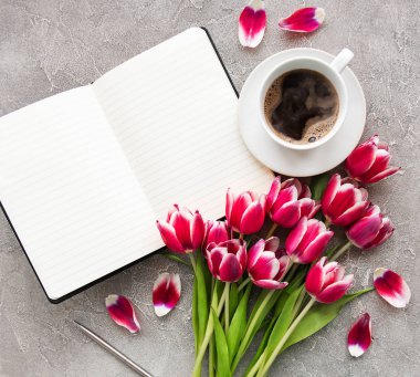 Blogger veya serbest meslek çalışma alanı