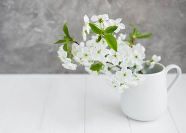 Bahar kiraz çiçeği