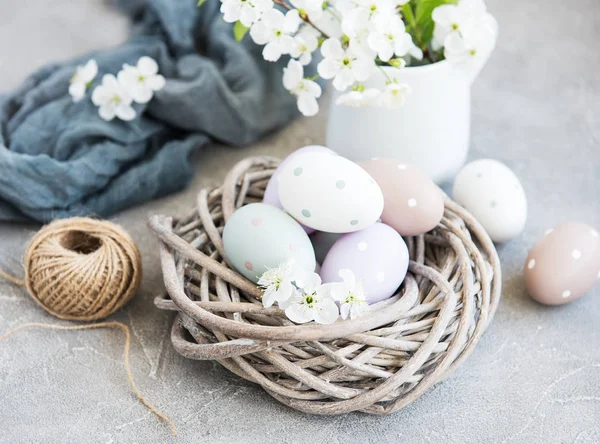 Ostereier und Frühlingskirschblüte — Stockfoto