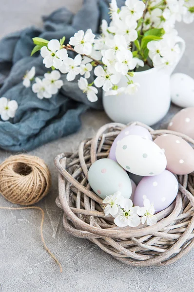 Ostereier und Frühlingskirschblüte — Stockfoto