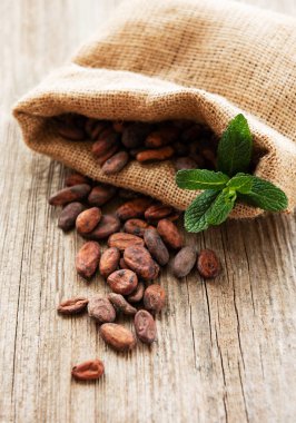 ham kakao çekirdekleri