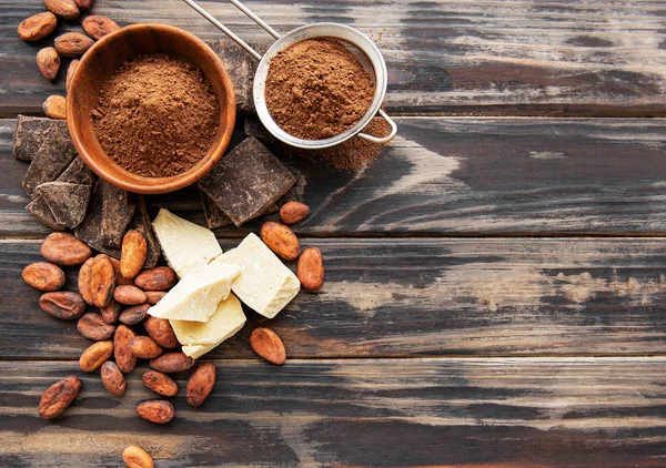 Cacao en polvo y frijoles — Foto de Stock