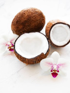 Hindistancevizi ile orkide