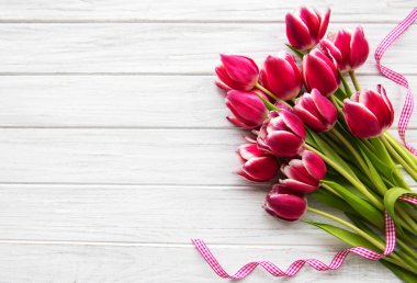 Pembe bahar laleleri