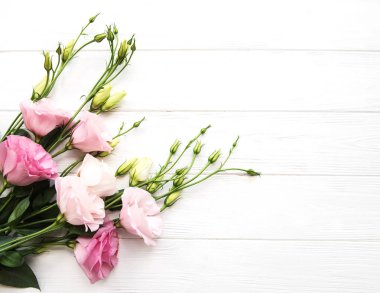 Taze pembe eustoma çiçek