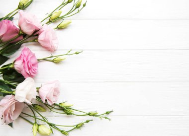 Taze pembe eustoma çiçek