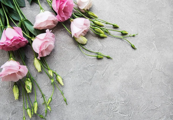 Taze pembe eustoma çiçek