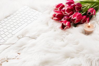 Blogger veya serbest meslek çalışma alanı