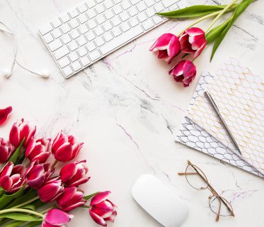 Blogger veya serbest meslek çalışma alanı
