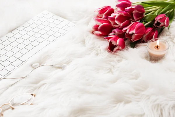 Blogger veya serbest meslek çalışma alanı