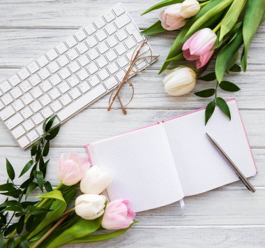 Blogger veya serbest meslek çalışma alanı