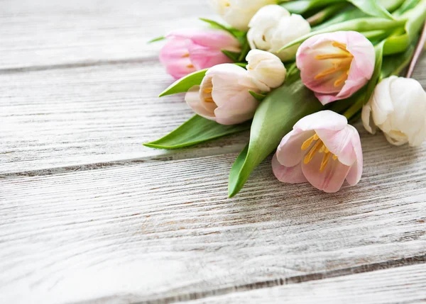 Pink spring tulips — Stock Photo, Image