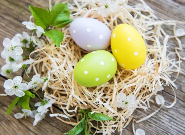 Nesten met Pasen eieren — Stockfoto