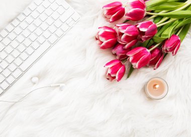 Blogger veya serbest meslek çalışma alanı