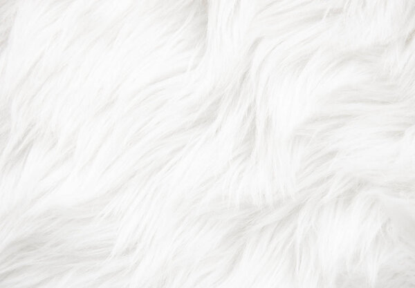 текстура белого меха
