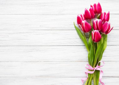 Pembe bahar laleleri