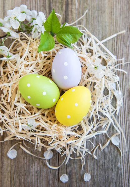 Nest with easter eggs — Stock Photo, Image