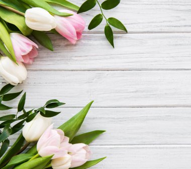 Pembe bahar laleleri