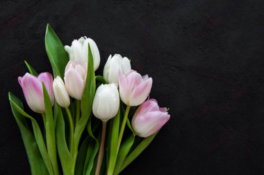 Pembe bahar laleleri