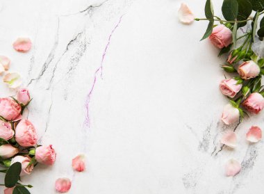 Pembe Gül ile tatil arka plan