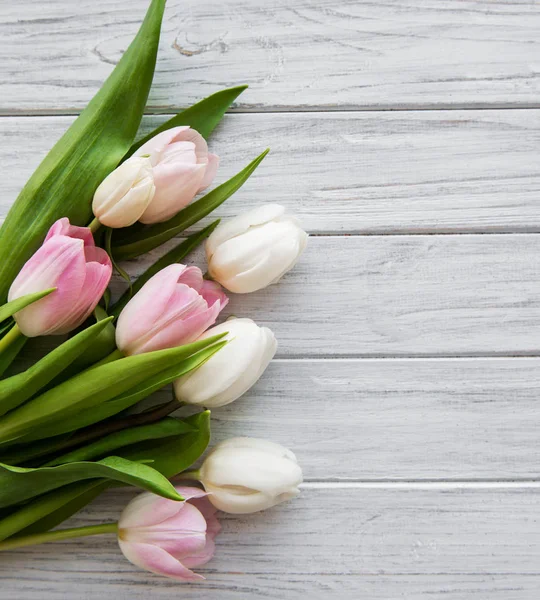 Rosa Frühlingstulpen — Stockfoto