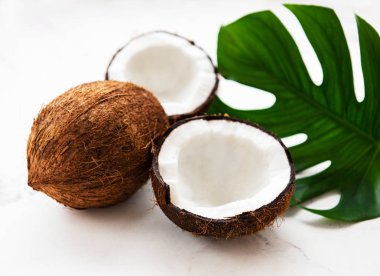 Yeşil yaprakları ile Hindistan cevizi