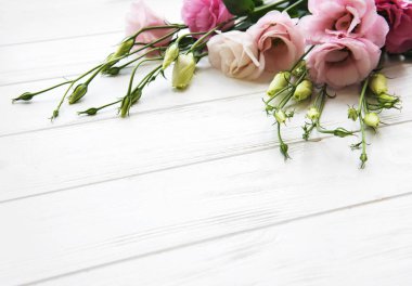 Taze pembe eustoma çiçek