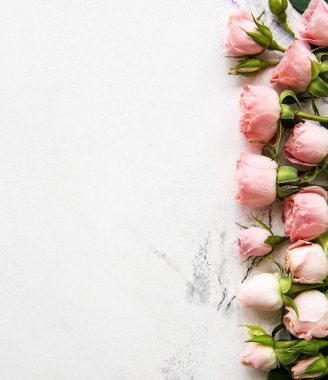 pembe güller çerçevesi