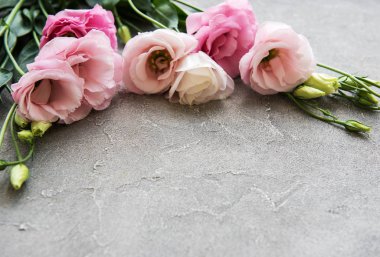 Taze pembe eustoma çiçek