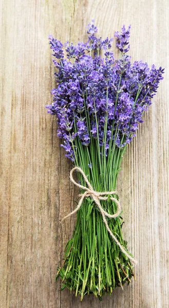 Fresh lavender flowers — Stock Photo, Image