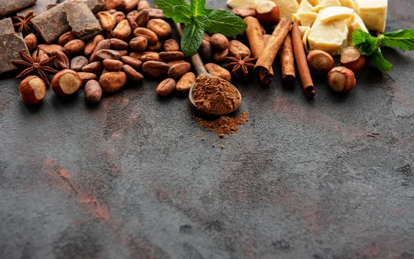 Какао-порошок і квасоля — стокове фото