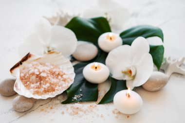 Orkide ile Spa Ürünleri