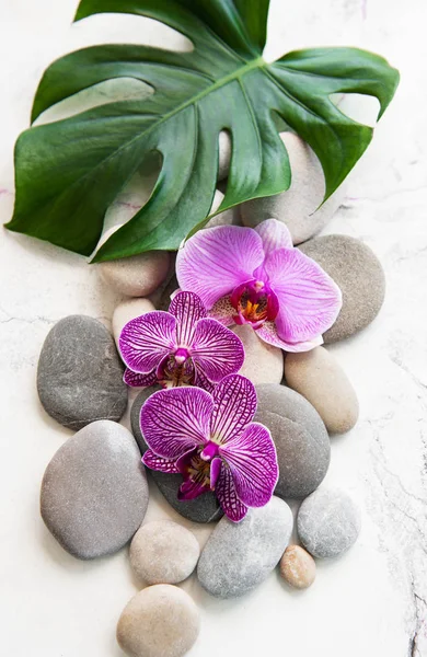 Spa stenen met orchideeën — Stockfoto