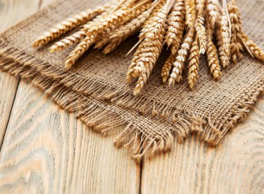 demet buğday kulaklar