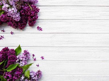 Leylak bahar çiçekleri sınır