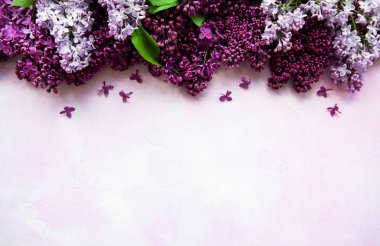 Leylak bahar çiçekleri sınır