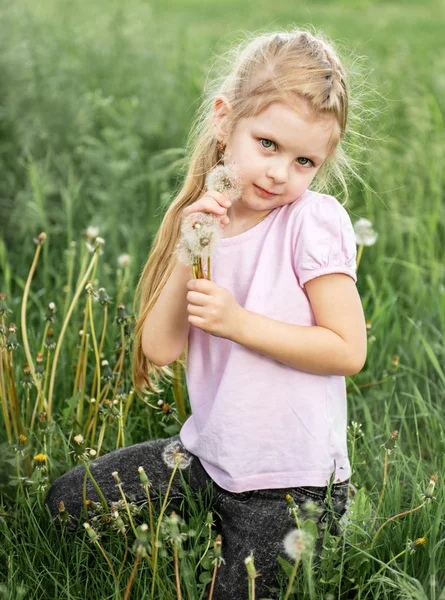 Niña con dientes de león — Foto de Stock