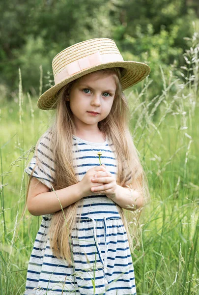 bir alan, sevimli küçük kız