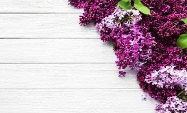 Leylak bahar çiçekleri sınır