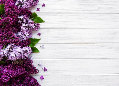 Leylak bahar çiçek sınır