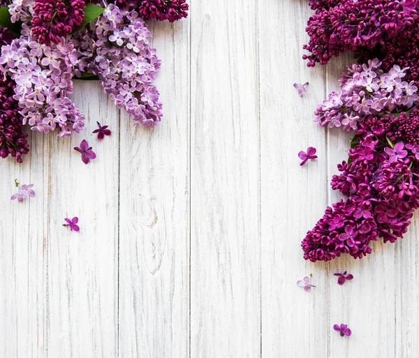 Leylak bahar çiçek sınır