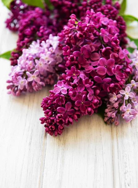 Fronteira de flores de primavera Lilac — Fotografia de Stock