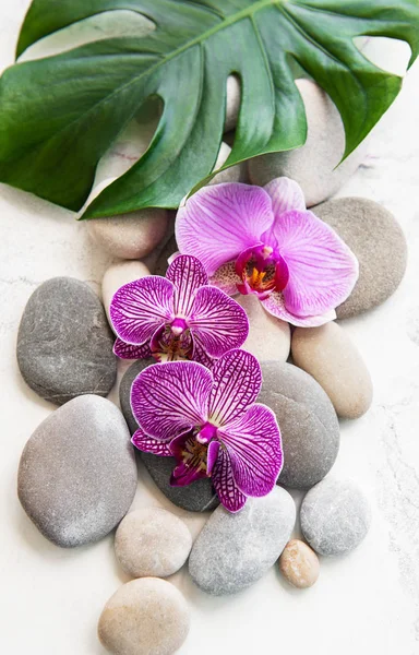 Spa stones with orchids — Stock Photo, Image