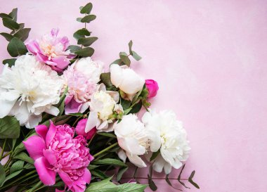 pembe peonies ile arka plan