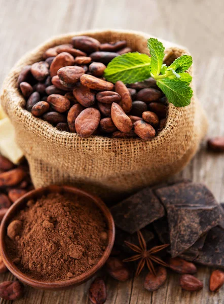 Frijoles de cacao y chocolate en la bolsa — Foto de Stock