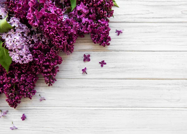 Lilac spring flower border — Stock Photo, Image